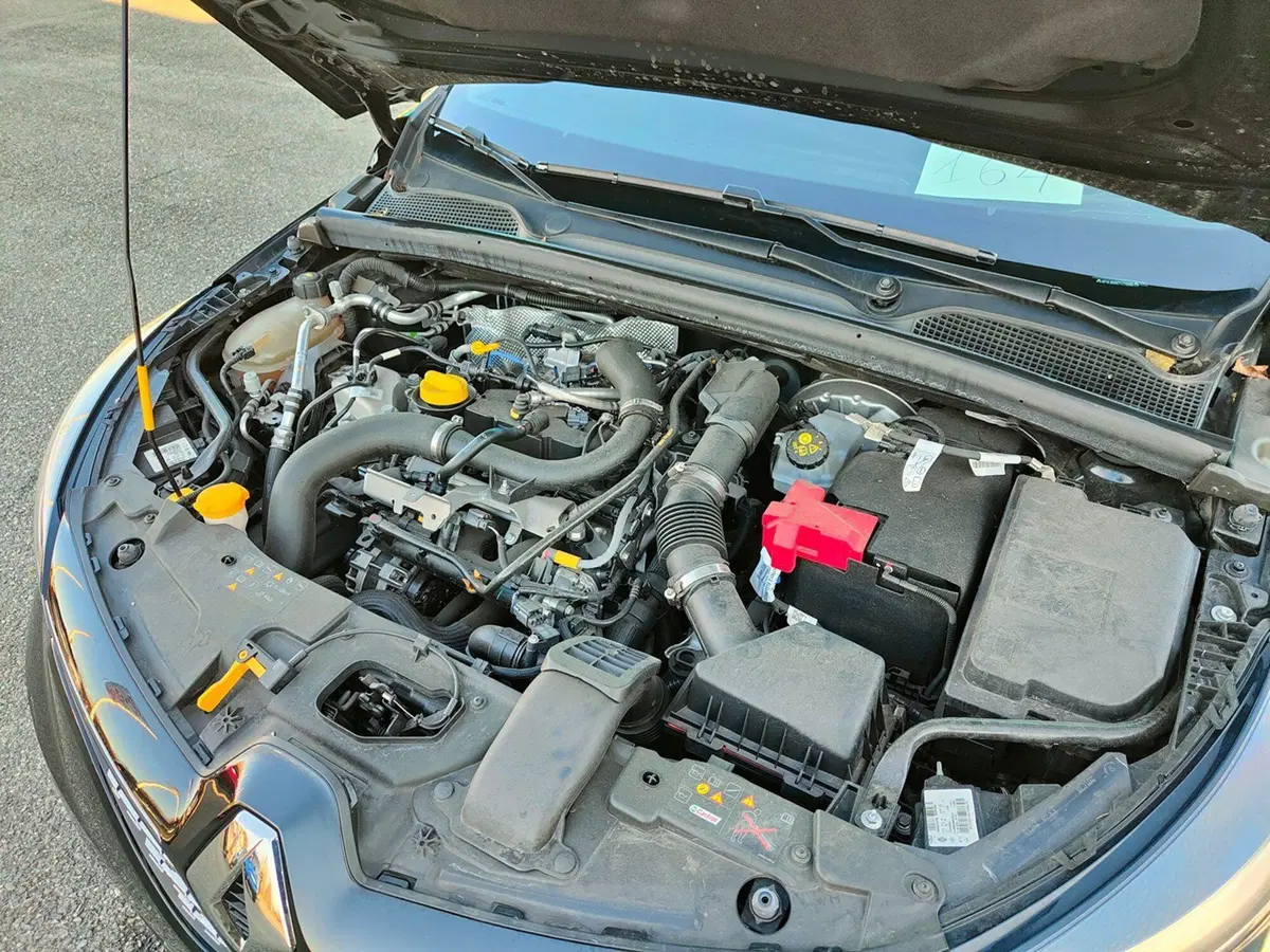 Renault Clio usata a Torino (11)