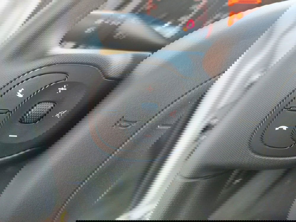 Fiat Panda Cross usata a Pavia (11)