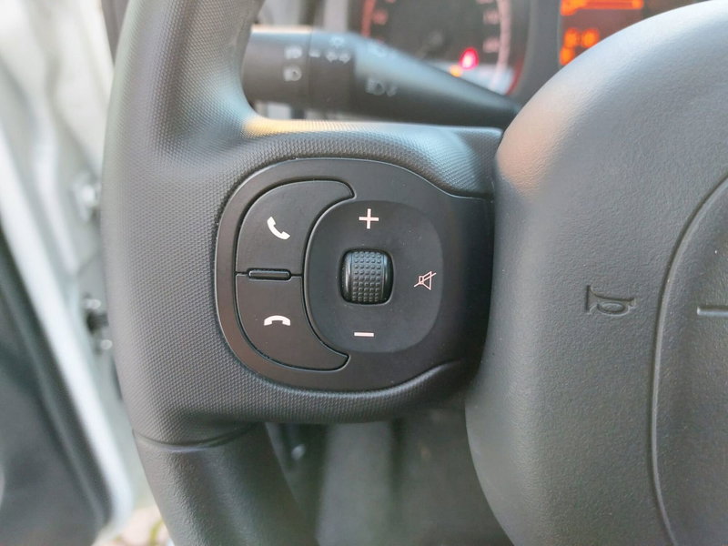 Fiat Panda Cross usata a Pavia (11)
