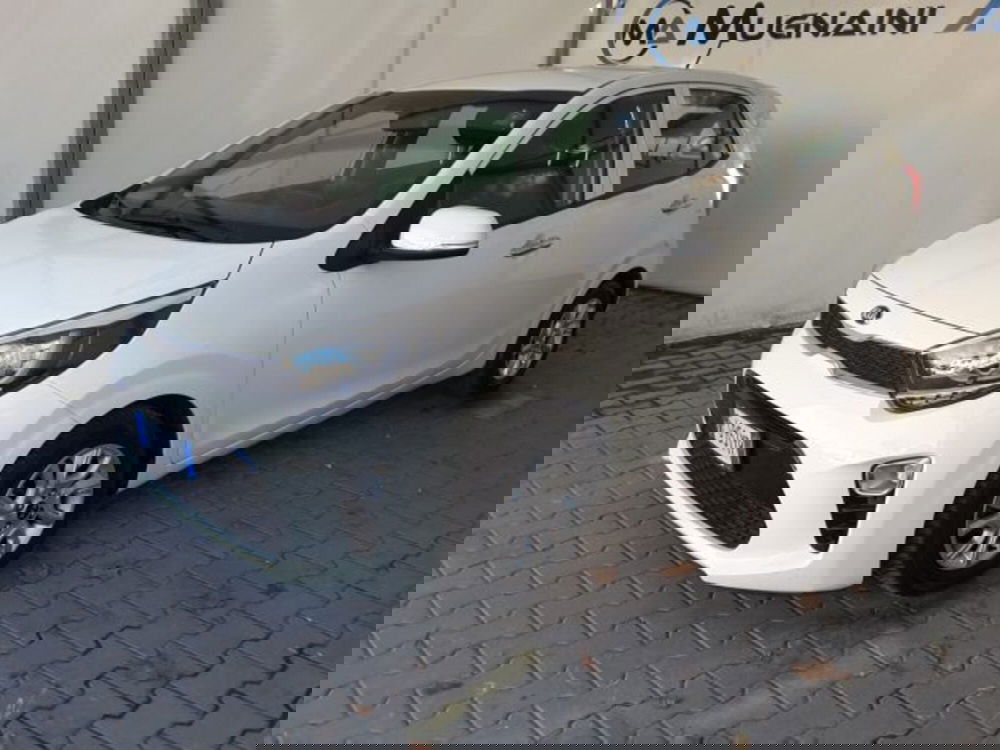 Kia Picanto usata a Firenze (3)