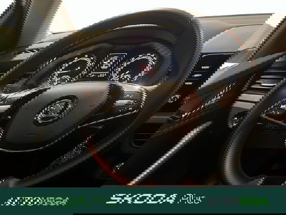 Skoda Kamiq usata a Vicenza (9)