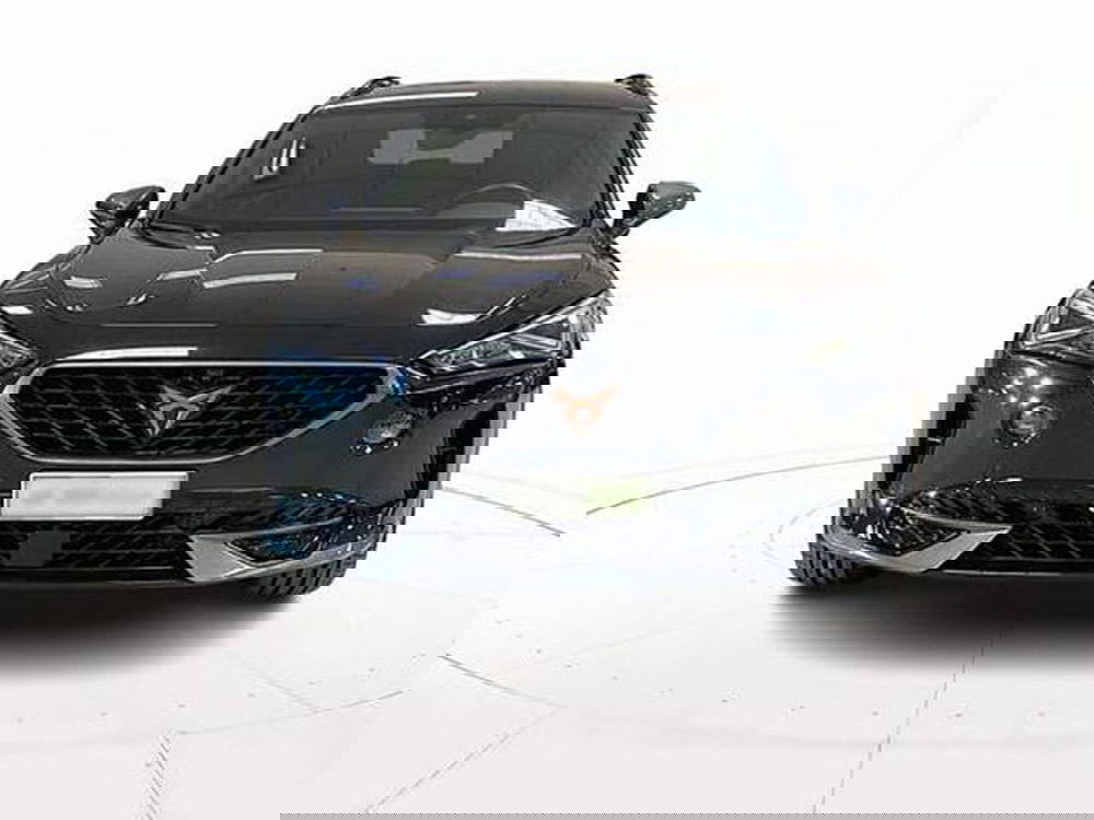 Cupra Formentor usata a Vicenza (2)