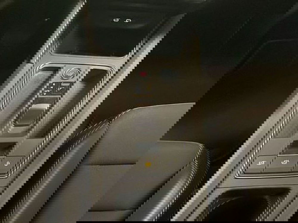 Cupra Formentor usata a Vicenza (11)