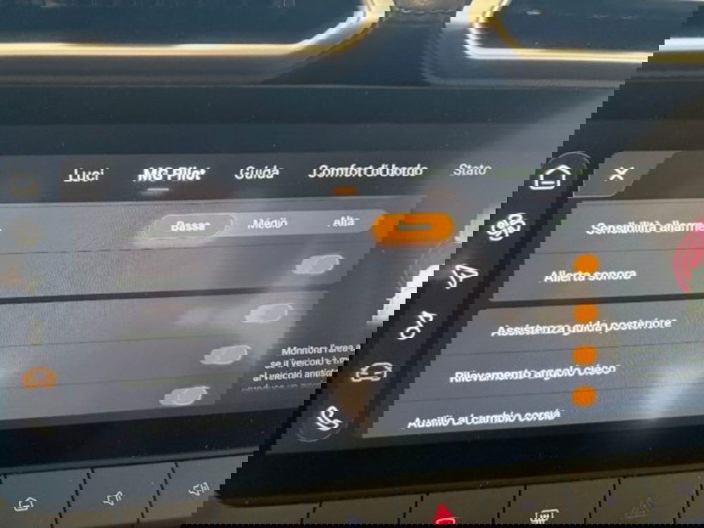 Mg ZS nuova a Cuneo (15)