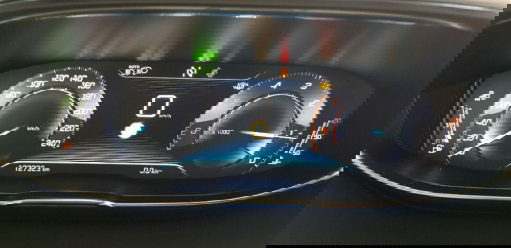 Peugeot 3008 usata a Pordenone (16)