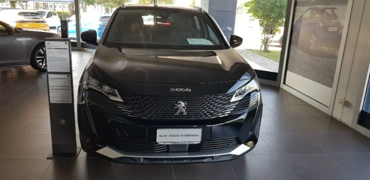 Peugeot 3008 usata a Pordenone (2)