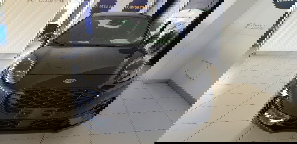 Ford Puma nuova a Pordenone (2)