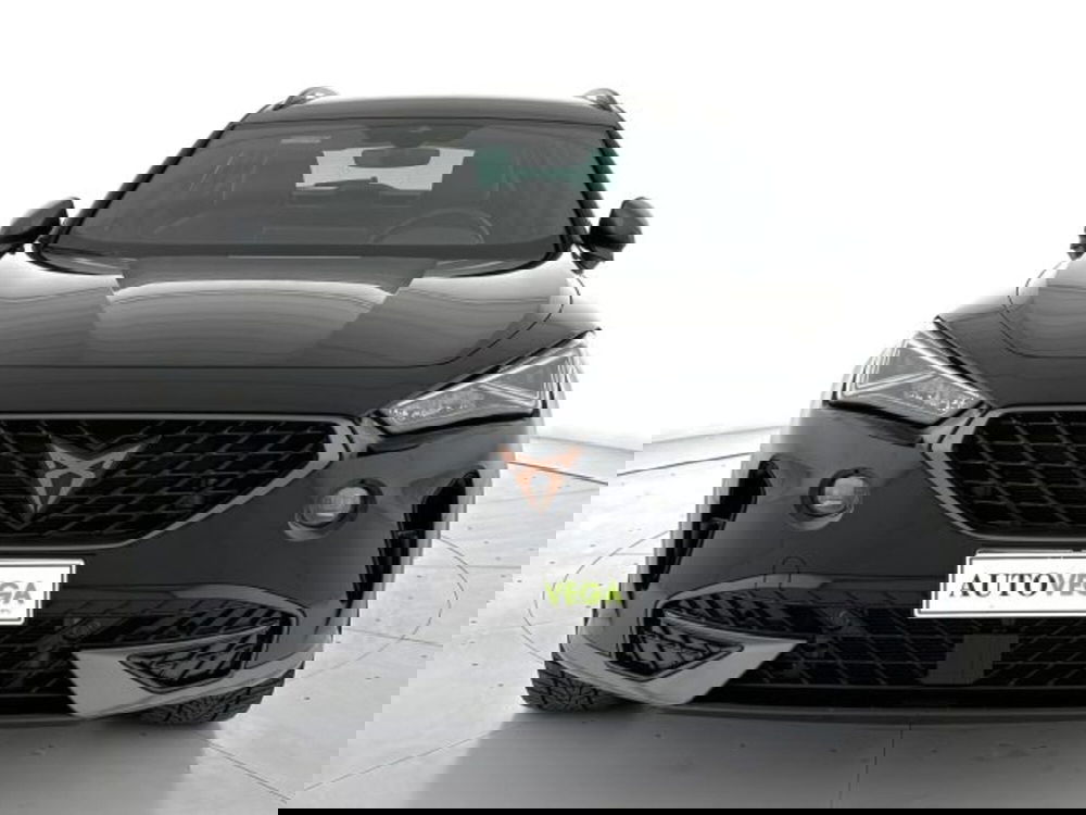 Cupra Formentor usata a Vicenza (2)