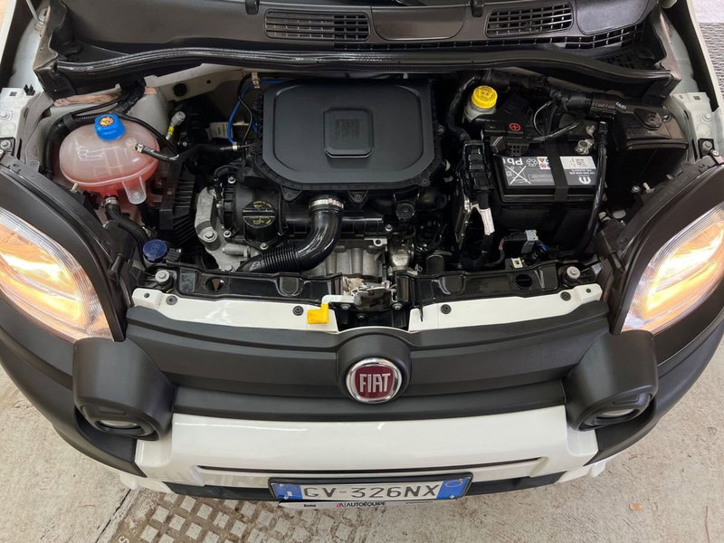 Fiat Panda Cross usata a Roma (15)