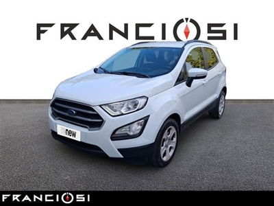 Ford EcoSport 1.5 Ecoblue 100 CV Start&amp;Stop Business del 2019 usata a Mirandola
