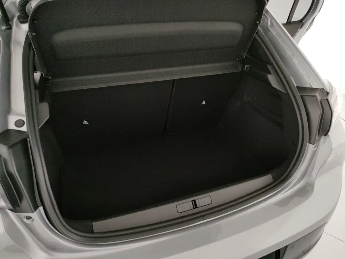 Peugeot 208 nuova a Caserta (9)