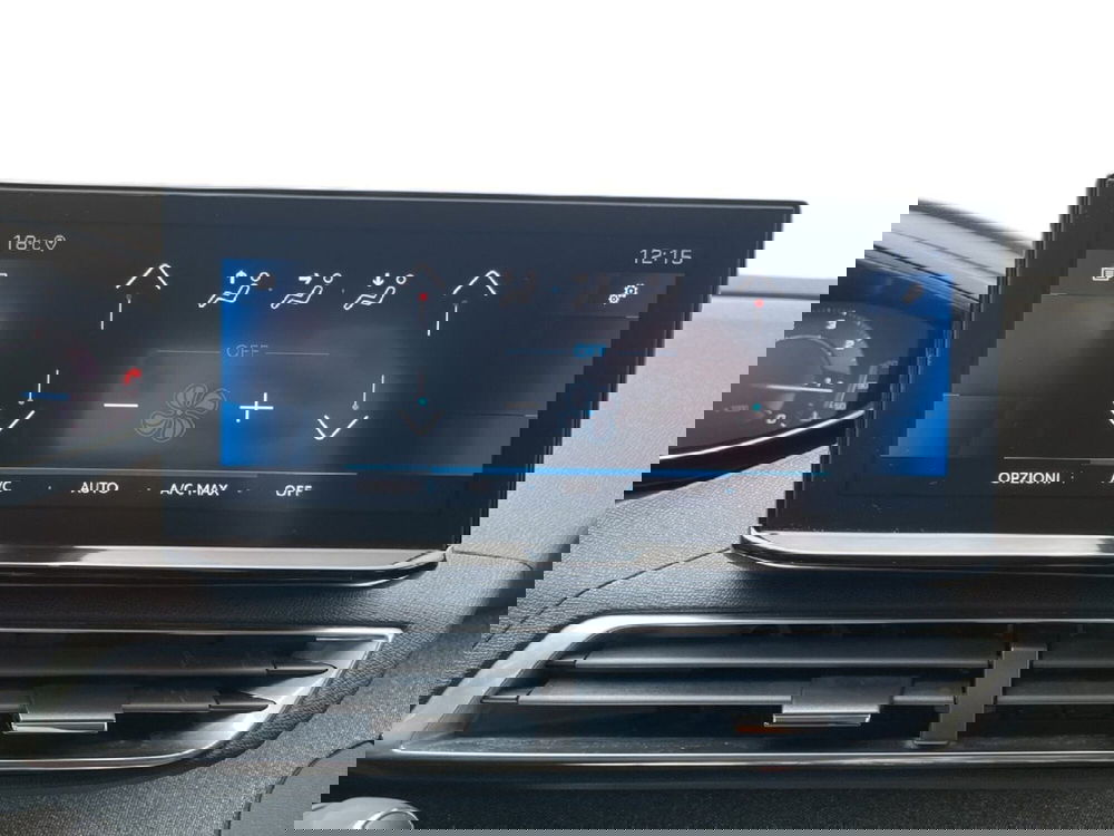 Peugeot 3008 usata a Torino (14)