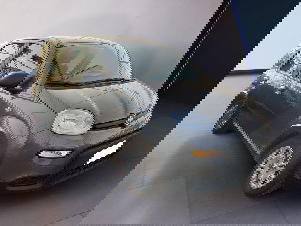 Fiat Panda usata a Torino (2)