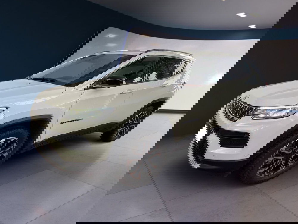 Jeep Compass usata a Torino (3)