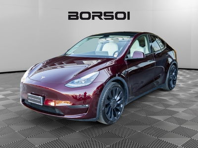 Tesla Model Y Performance awd del 2024 usata a Treviso