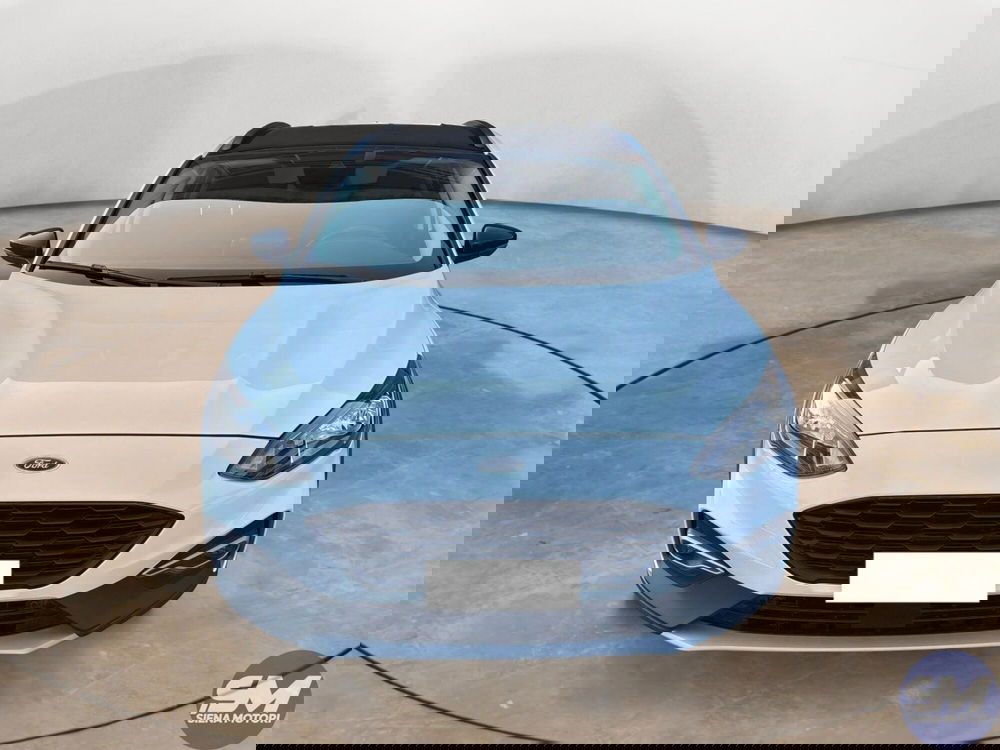 Ford Focus usata a Siena (8)