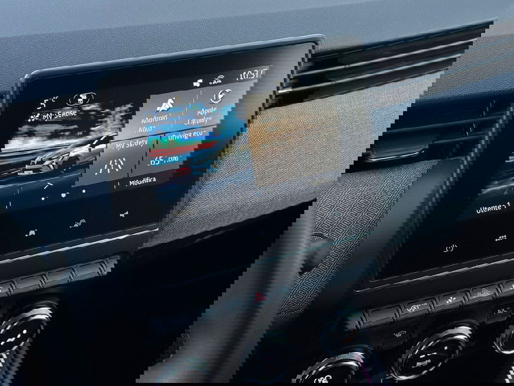 Renault Clio usata a Pavia (4)