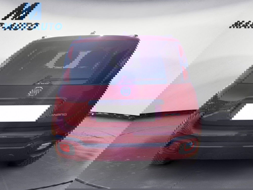 Fiat Panda Cross usata a Belluno (16)