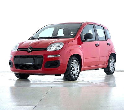 Fiat Panda Cross Cross 1.0 FireFly S&amp;S Hybrid del 2022 usata a Bastia Umbra