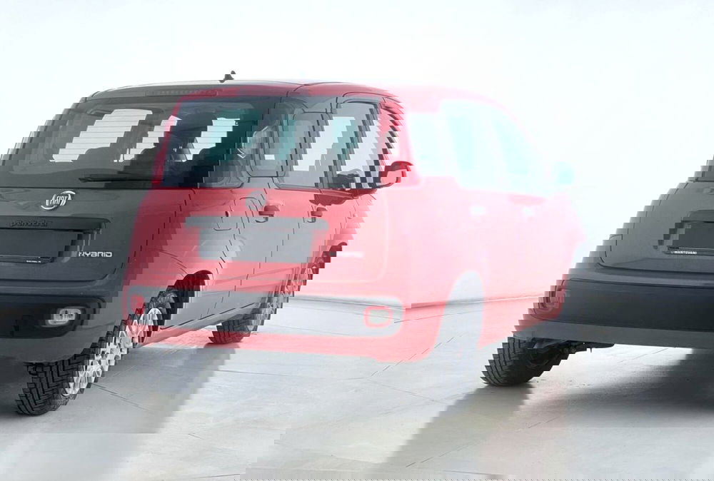 Fiat Panda Cross usata a Perugia (5)