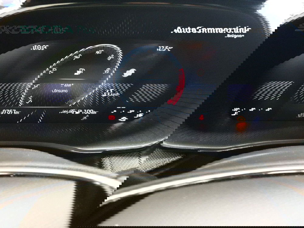 Skoda Fabia usata a Bologna (15)