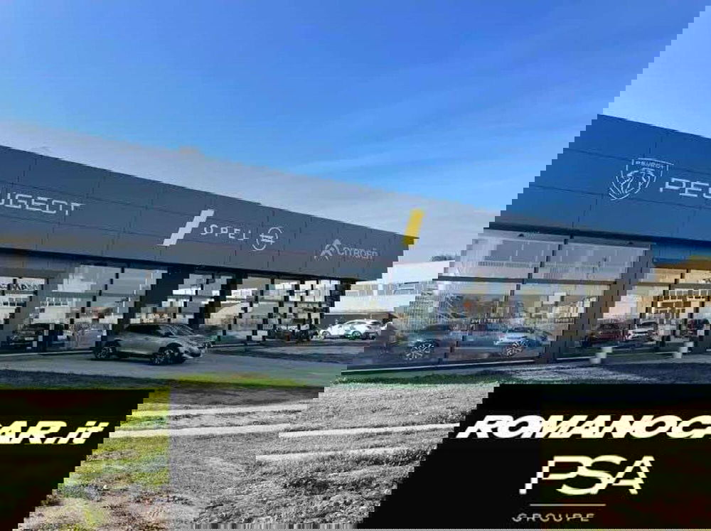 Land Rover Range Rover Evoque usata a Foggia (18)