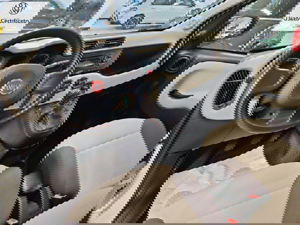 Fiat Panda usata a Genova (12)