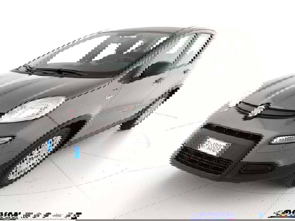 Fiat Panda usata a Padova