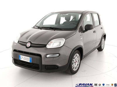 Fiat Panda 1.0 FireFly S&amp;S Hybrid City Cross del 2023 usata a Piove di Sacco