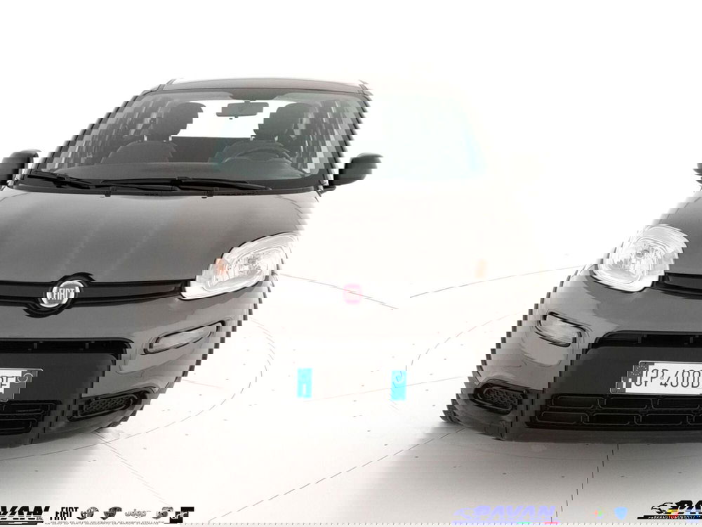 Fiat Panda usata a Padova (2)