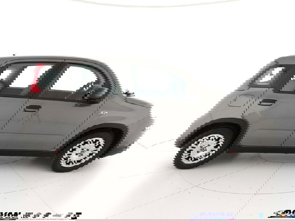 Fiat Panda usata a Padova (4)