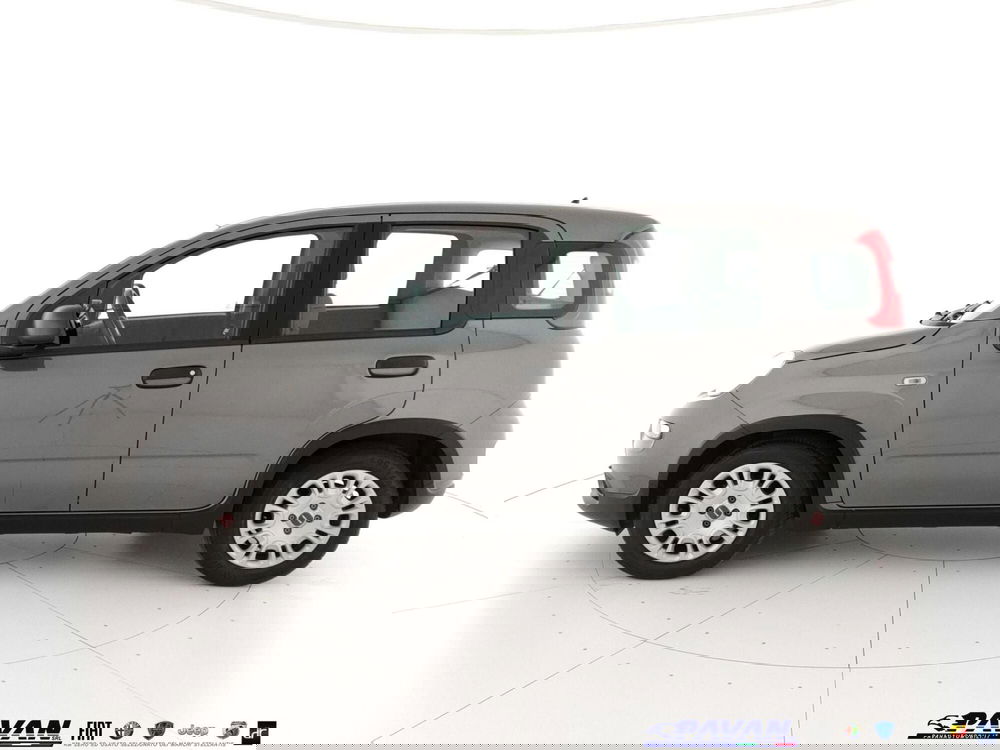 Fiat Panda usata a Padova (8)