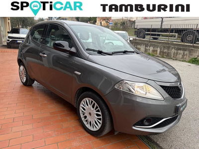 Lancia Ypsilon 1.2 69 CV 5 porte Gold del 2017 usata a Cortona