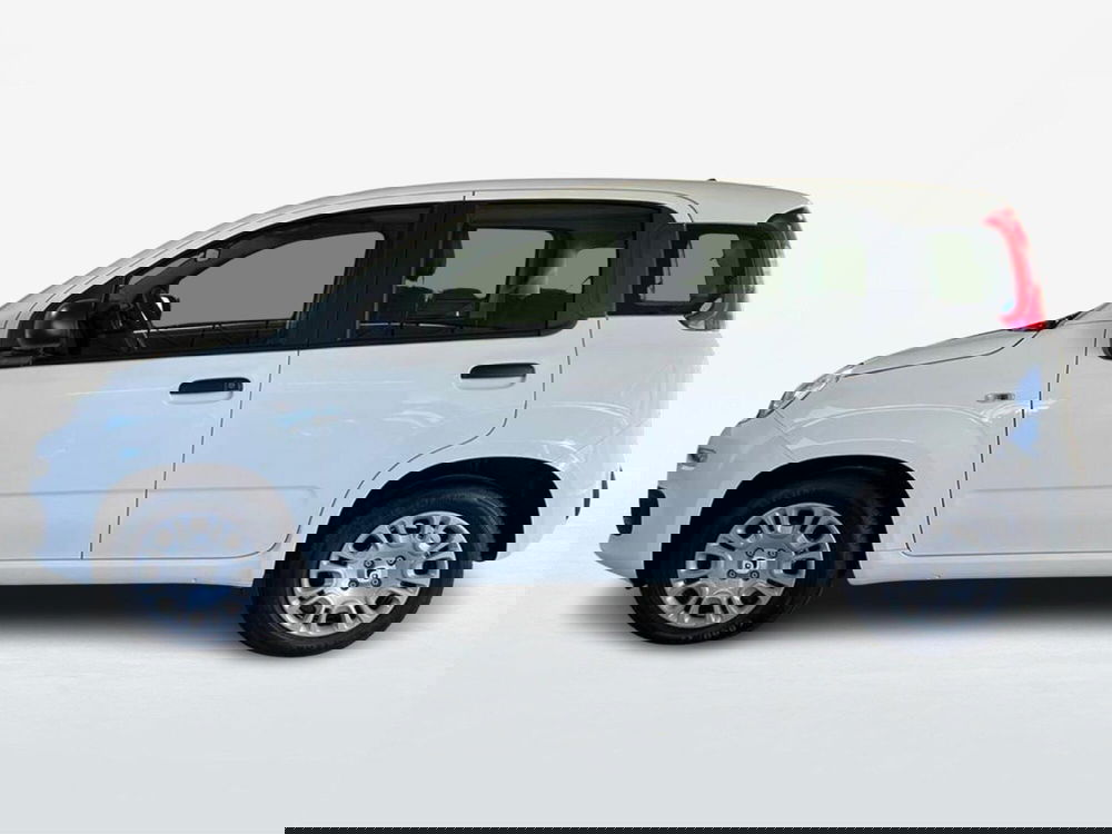 Fiat Pandina nuova a Roma (3)