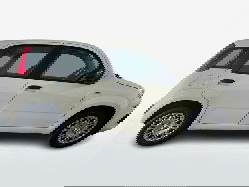 Fiat Pandina nuova a Roma (4)