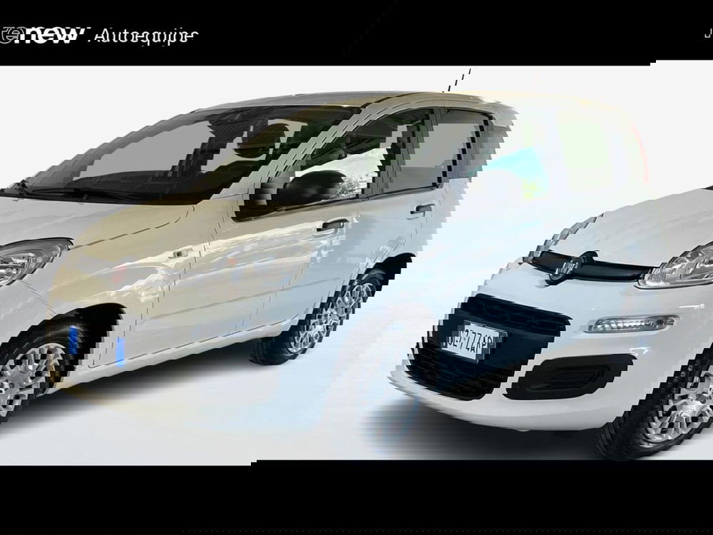 Fiat Pandina nuova a Roma