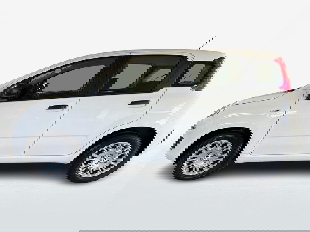 Fiat Pandina nuova a Roma (3)