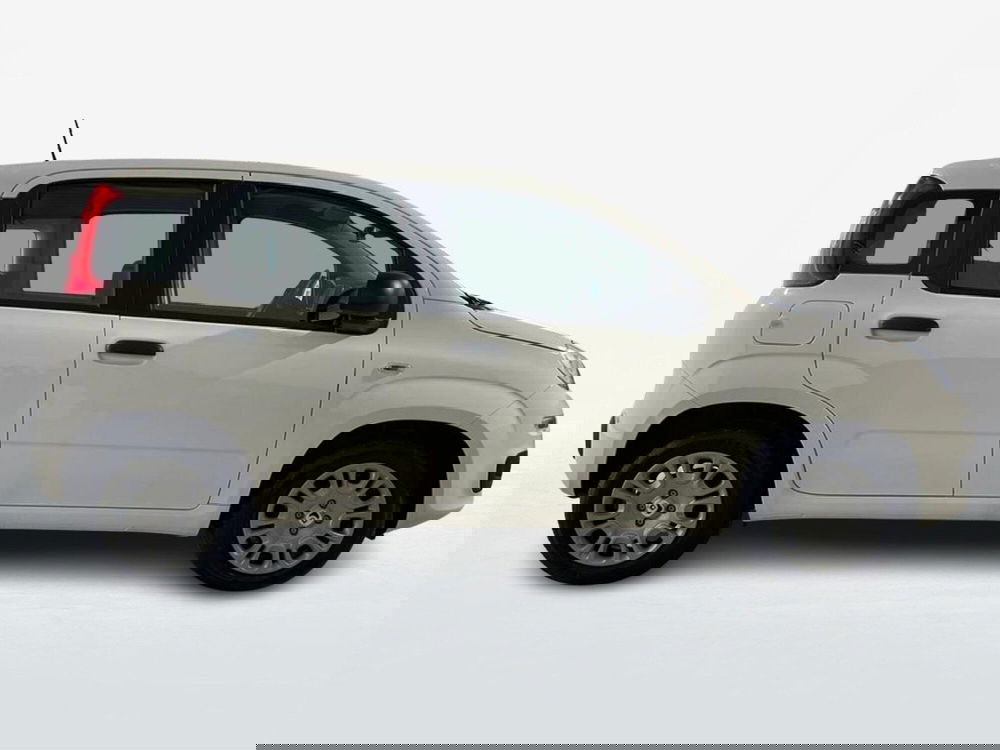 Fiat Pandina nuova a Roma (4)