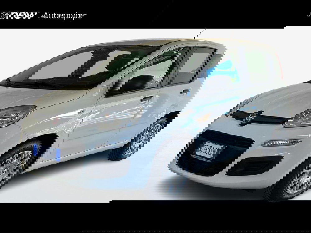 Fiat Pandina nuova a Roma