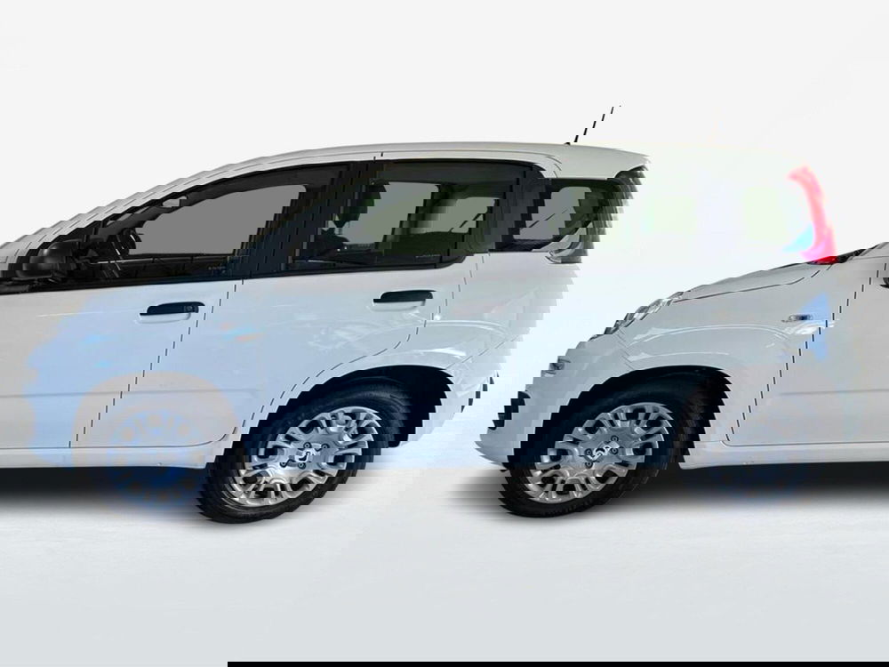 Fiat Pandina nuova a Roma (3)