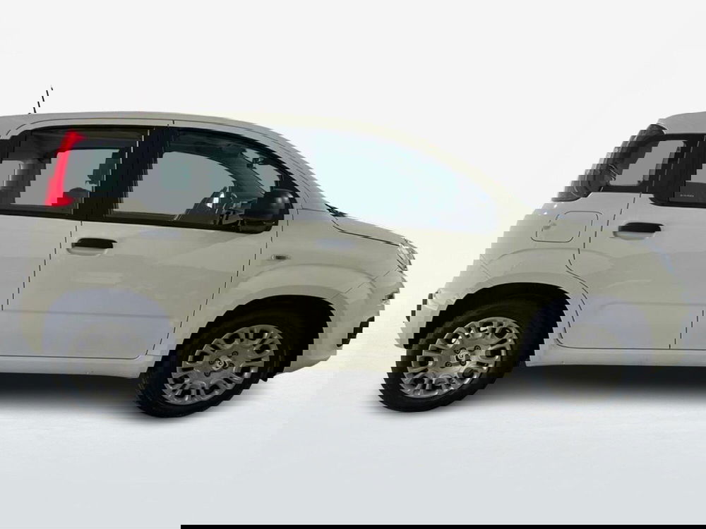 Fiat Pandina nuova a Roma (4)