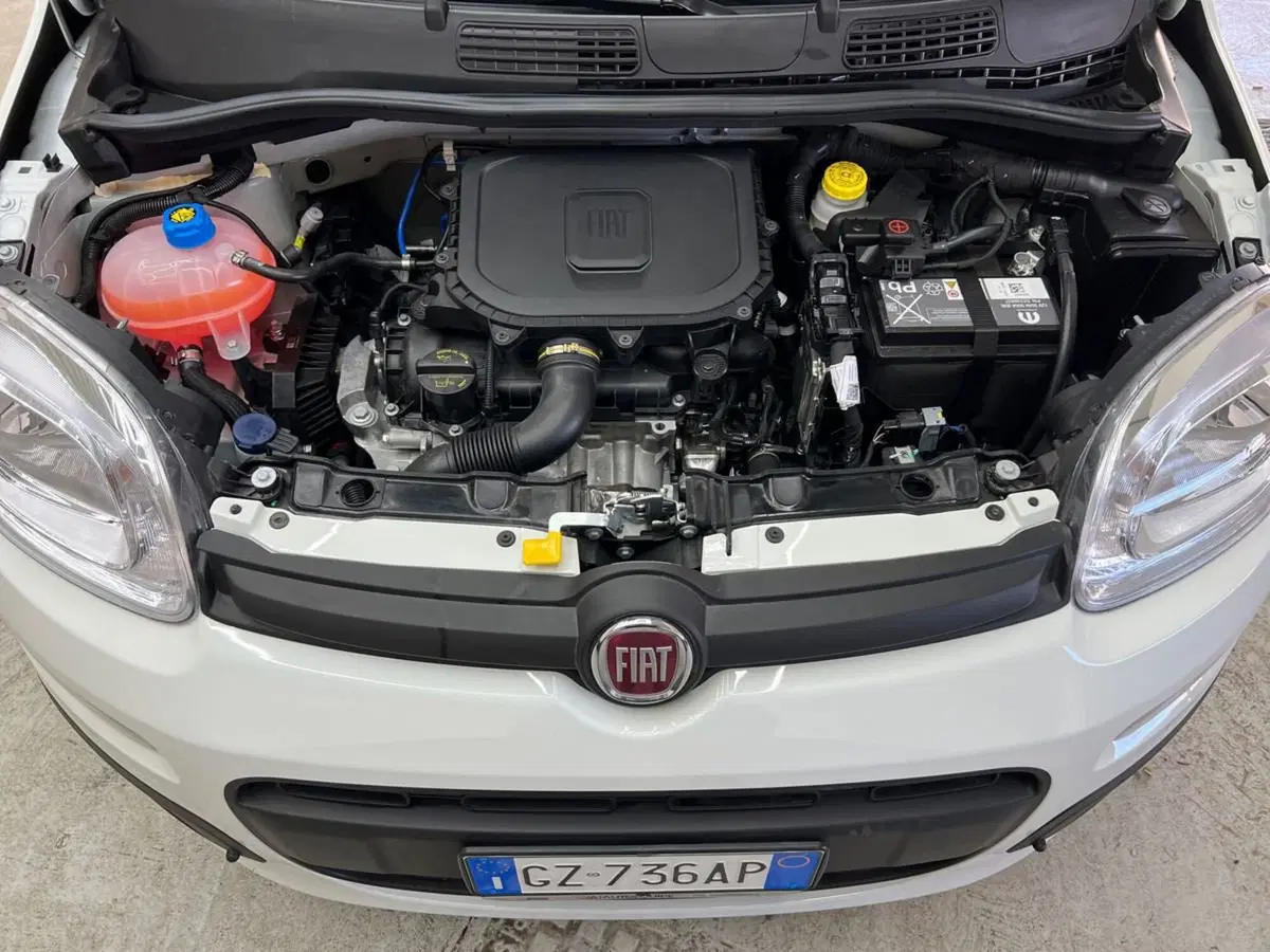 Fiat Pandina nuova a Roma (15)