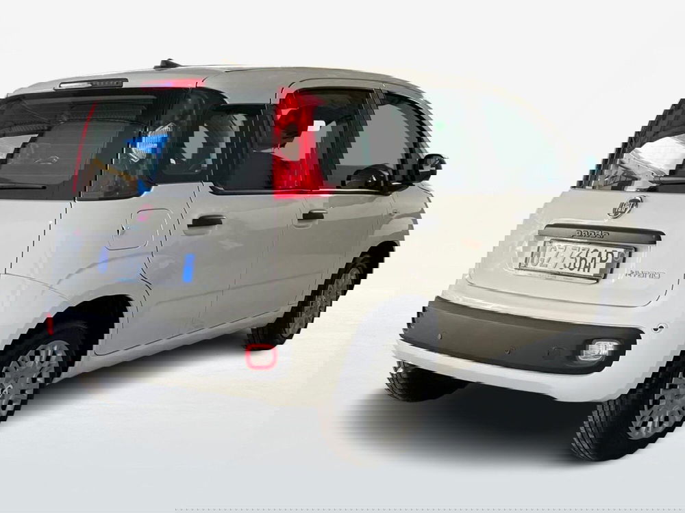 Fiat Pandina nuova a Roma (2)