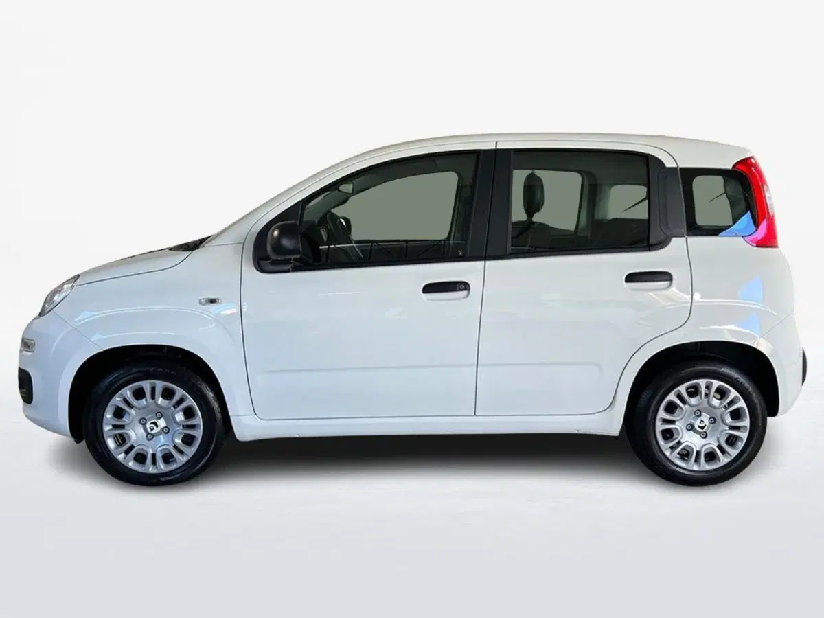 Fiat Pandina nuova a Roma (3)