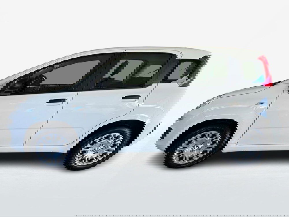 Fiat Pandina nuova a Roma (3)