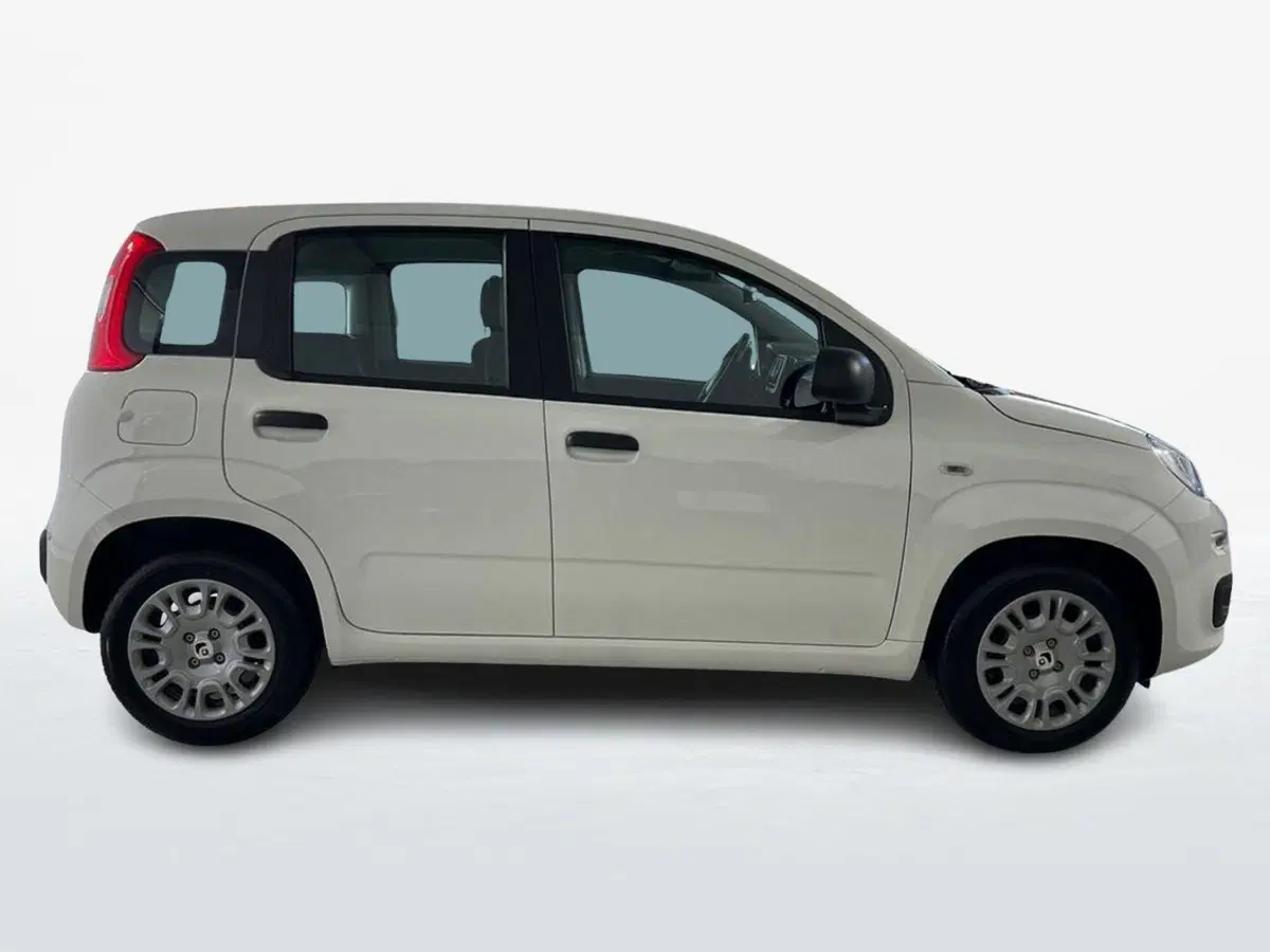 Fiat Pandina nuova a Roma (4)