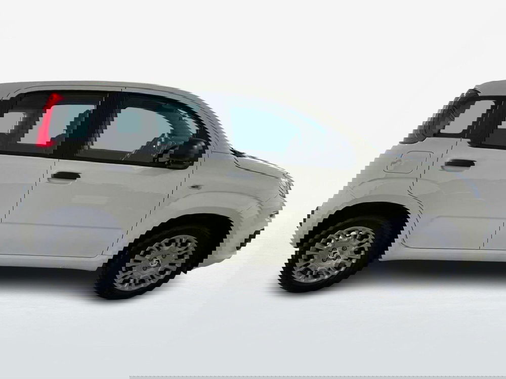 Fiat Pandina nuova a Roma (4)