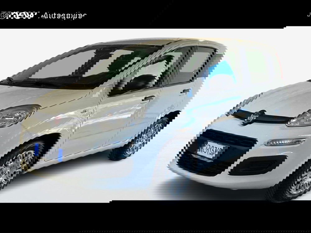 Fiat Pandina nuova a Roma