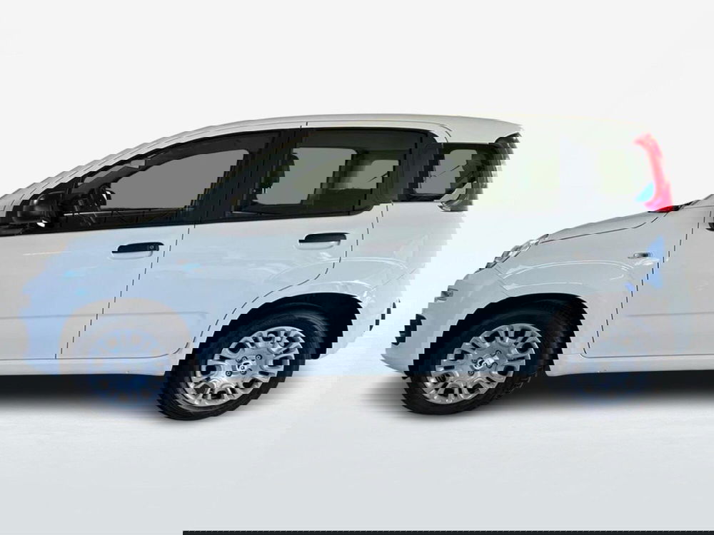 Fiat Pandina nuova a Roma (3)