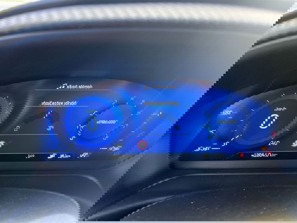 Ford Puma usata a Roma (11)